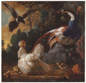 Ein Pfau, Geflügel und eine Elster in einer Landschaft, 1720 von Abraham Bisschop