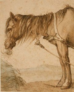 Ein Pferd frisst Heu, ca. 1600-10