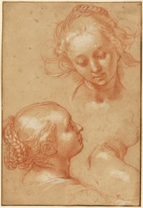 Drei Studien von Frauen (recto); Vier Studien von Händen und ein Gegenabdruck eines knienden jungen Mannes (verso)