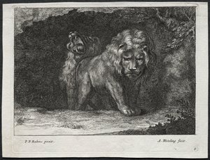 Verschiedene Löwen von Abraham Blooteling