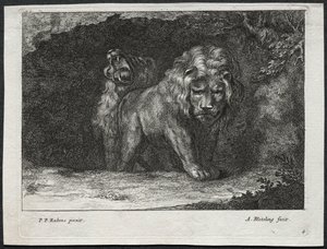 Verschiedene Löwen von Abraham Blooteling