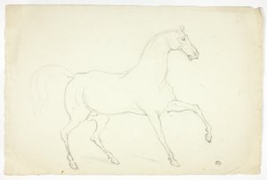 Hengst