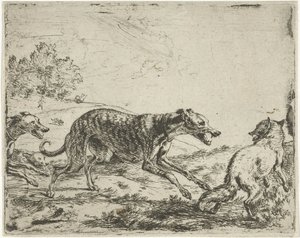 Fuchs und die drei Hunde