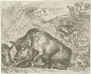 Wildschwein von Abraham Danielsz. Hondius