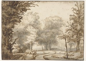 Weg durch den Wald