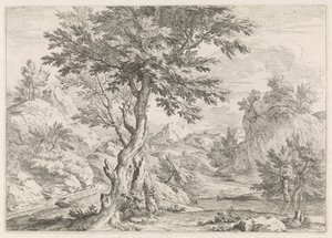 Hügelige Landschaft mit Felsen