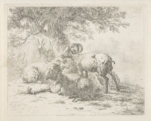 Schafe und ein Bock von Abraham Hendrik Winter