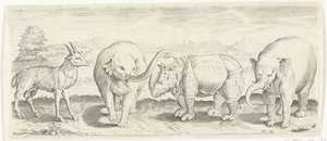 Gazelle, Elefant und Nashorn