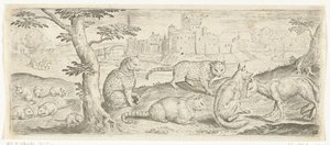 Ratten, Katzen und Füchse (Tiere)