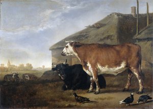 Vieh von Abraham van Calraet