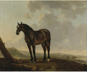 Porträt eines braunen Pferdes in einer Landschaft