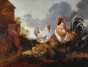 Geflügel in einem Bauernhof von Abraham van Calraet