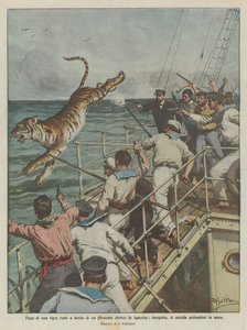 Flucht eines Königstigers an Bord eines Dampfschiffs auf dem Weg nach Amerika, verfolgt, begeht er Selbstmord, indem er ins Meer springt