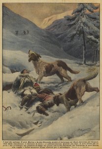 Die Hunde, die retten