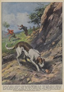 Der Hund, der den kleinen Besitzer rettet