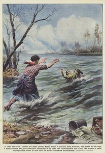Der Rettungshund