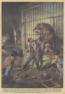 Der Dieb und der Löwe von Achille Beltrame