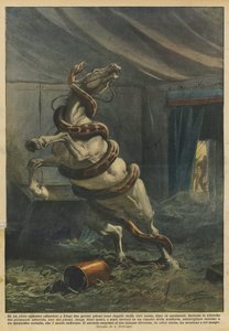 In einem Zirkus in Lüttich entkamen nach der Vorstellung zwei große Pythons aus ihrer Kiste