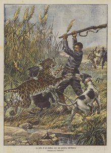 Der Kampf eines Bürgermeisters mit einem Panther in Algerien von Achille Beltrame