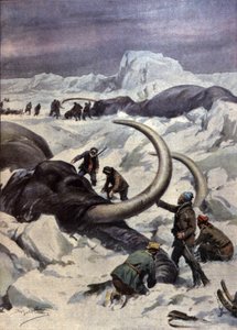 Mammuts am Nordpol von Achille Beltrame