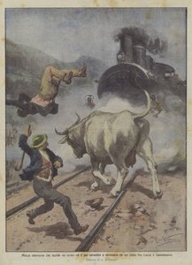 Wütende Kuh tötet einen Mann und wird dann von einem Zug zwischen Lucca und Castelnuovo überfahren und zerquetscht von Achille Beltrame