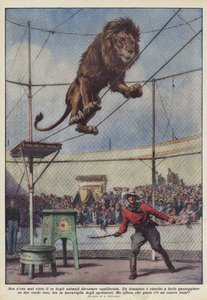Noch nie wurde der König der Tiere als Akrobat gesehen