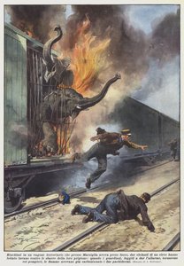 Eingeschlossen in einem Eisenbahnwagen, der bei Marseille Feuer gefangen hatte, zwei Elefanten von Achille Beltrame