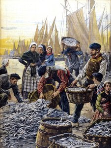 Sardinenfischerei in der Bretagne im Jahr 1903 (Illustration von Achille Beltrame) von Achille Beltrame