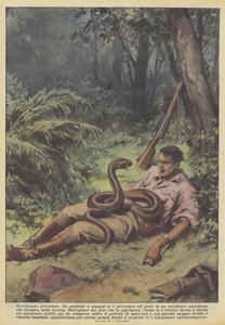 Schreckliches Abenteuer von Achille Beltrame