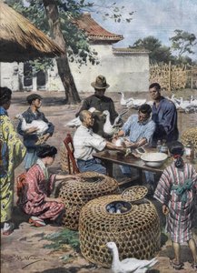 Kaiserlicher Palastgarten in Tokio: Impfung und tierärztliche Hilfe für Enten, um sie vor Cholera zu schützen. Illustration von Achille Beltrame aus dem Jahr 1928. von Achille Beltrame