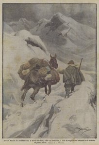 Zwischen Heimat und Kämpfern von Achille Beltrame