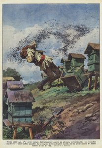 Von Bienen getötet