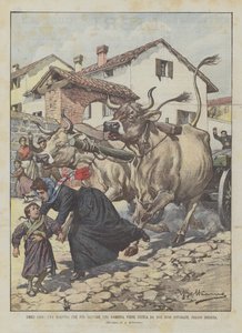 Demütige Helden, eine Lehrerin, die ein Mädchen retten wollte, wird von zwei wütenden Ochsen getötet, bei Brescia von Achille Beltrame