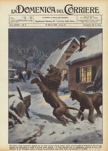Ein Löwe und eine Löwin, die aus einem Zirkus bei Gent entkommen waren, verletzten die Dompteuse schwer