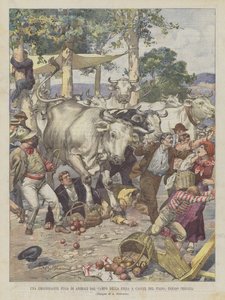 Eine aufregende Flucht von Tieren vom Messegelände in Castel del Piano bei Perugia