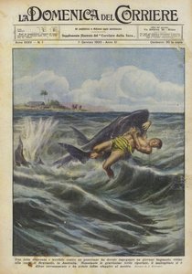 Ein junger Schwimmer musste einen verzweifelten und schrecklichen Kampf gegen einen Hai führen von Achille Beltrame