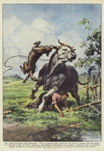 Ein rettender Ohrfeigen von Achille Beltrame