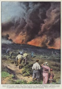 Heftige Waldbrände, ausgelöst durch die Dürre, brachen an verschiedenen Orten aus von Achille Beltrame