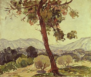 Waldlandschaft