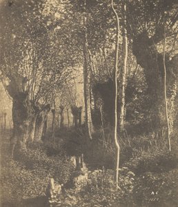 [Landschaft, Arras], 1852