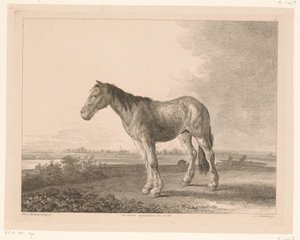 Stehendes Pferd in einer Flusslandschaft