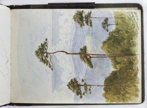 Skizzenbuch mit Aquarellen, Zeichnungen und Notizen, Mexiko, 1896-1898 von Adela Breton