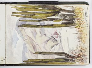 Skizzenbuch mit Aquarellen, Zeichnungen und Notizen, Mexiko, 1896-1898