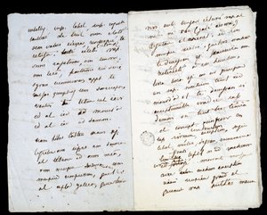 Autographisches Manuskript von Adele Hugo (zweite Tochter von Victor Hugo) von Adele Hugo