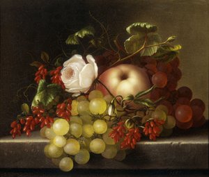 Stillleben mit Pfirsich, Trauben und Hagebutten, 1865 von Adelheid Dietrich