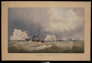 H.M.S. Phoenix mit ihren Begleitern, The Diligence und Breadalbane, unter den Eisbergen von Admiral Edward Augustus Inglefield