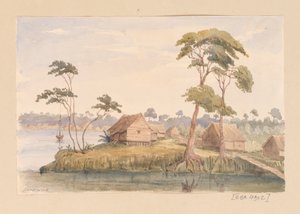 Sarawak aus Westindien, Nordamerika und Borneo-Sammelalbum von Admiral Sir Edward Gennys Fanshawe