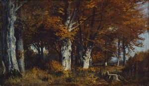 Buchenwald im Herbst
