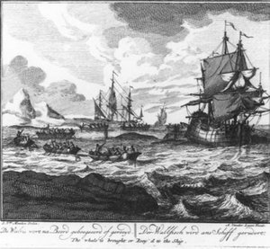 „Der Wal wird an Bord geschleppt oder gerudert.“ (Nr. 7 aus der Serie über den Walfang) von Adolf van der Laan