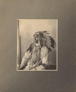 Kill Spotted Horse, Assiniboines von Adolph F. Muhr